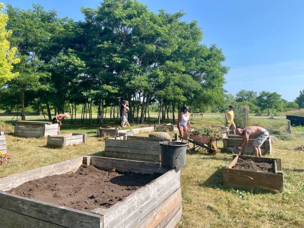 photo_2025-07-21_11-55-51